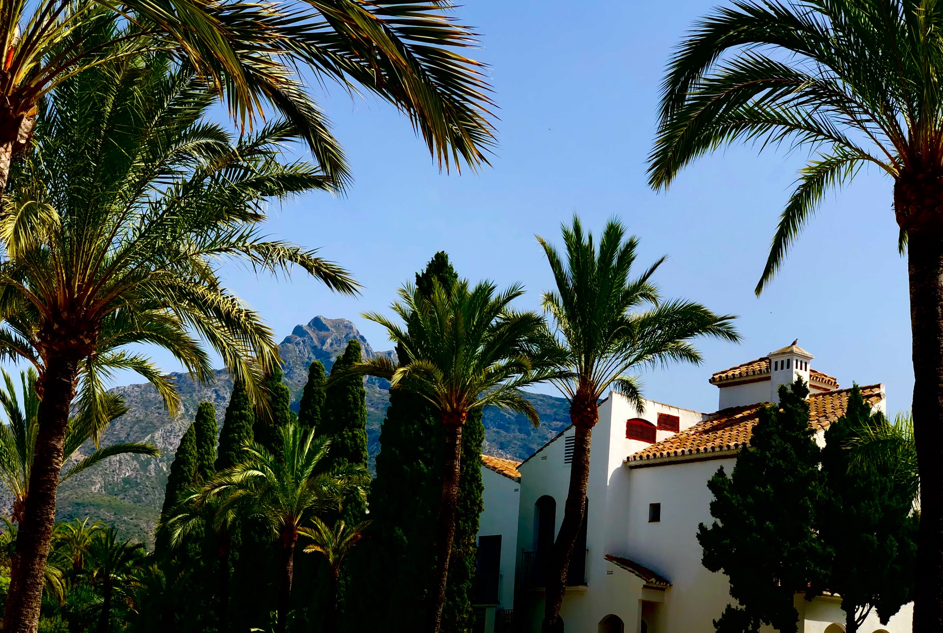 Why Invest In Marbella Property? Find Out Here!